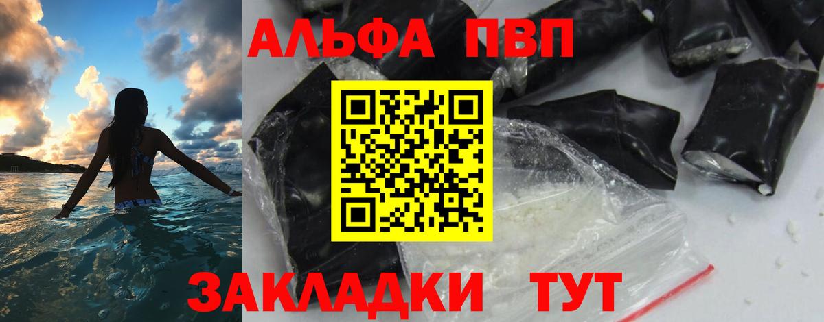 Alfa_PVP СК Сунжа