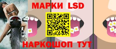 apvp Новодвинск