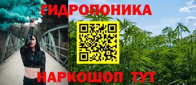 крисы Нарткала