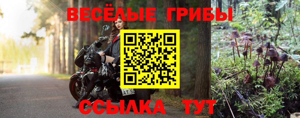 Псилоцибиновые грибы Magic Shrooms Сунжа