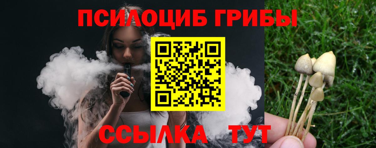 Сунжа  Галлюциногенные грибы прущие грибы  даркнет сайт  Вход с VPN 
