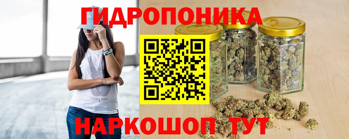 Шишки марихуана AK-47 Сунжа